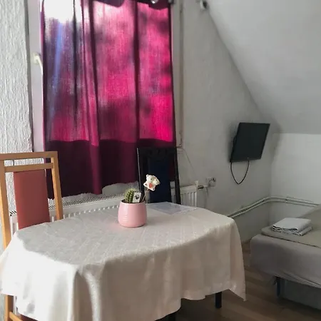 Studio Apartman Veliko Brdo 公寓
